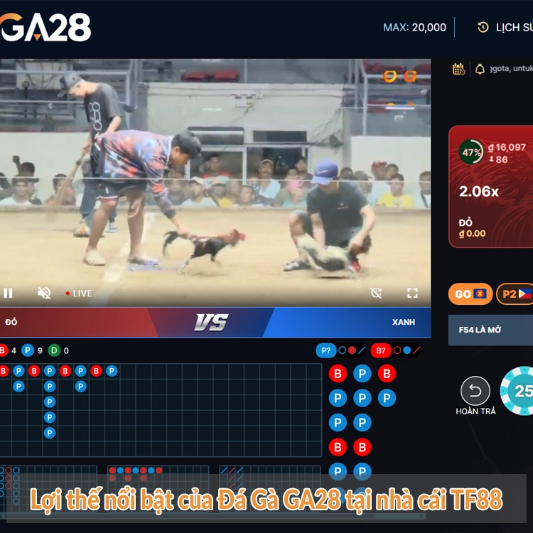 Lợi thế nổi bật của Đá Gà GA28 tại nhà cái TF88
