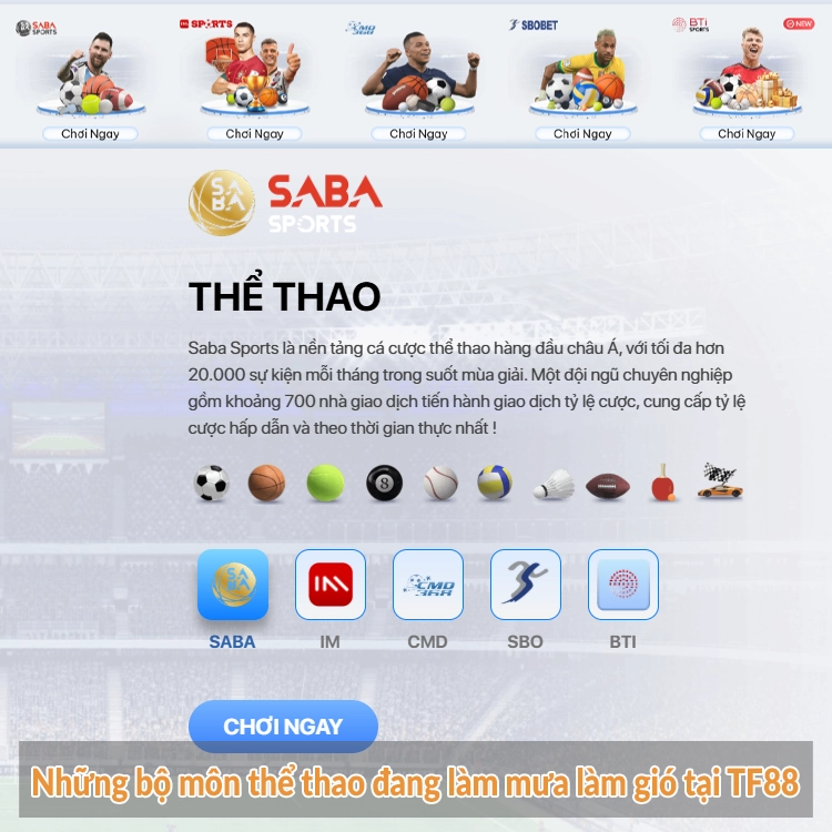 Những bộ môn thể thao đang làm mưa làm gió tại TF88 Những bộ môn thể thao đang làm mưa làm gió tại TF88