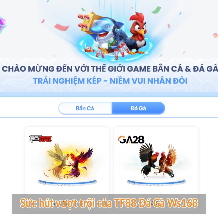 Sức hút vượt trội của TF88 Đá Gà Ws168
